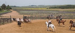 e074 de zware jongens, A Campo Abierto - kopie