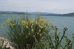 e078 Embalse de Barbate - kopie