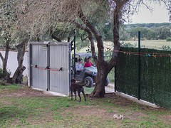 e094 achteruitgang camping Pinar San José, Los Caños de Meca