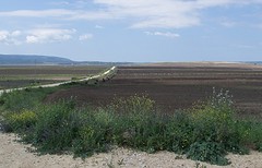 e101 zeer landelijke weg van Benalup naar Zahara de los Atunes