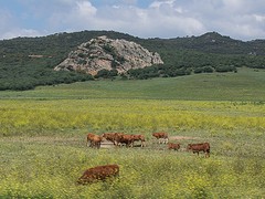 e113 op weg naar Zahara de los Atunes