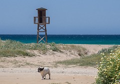 e136 Zahara de los Atunes