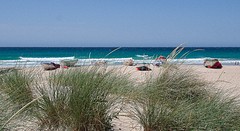 e137 Zahara de los Atunes