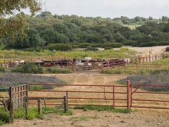 e023 A Campo Abierto