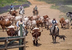e062 A Campo Abierto