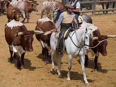 e063 A Campo Abierto