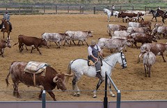 e065 A Campo Abierto