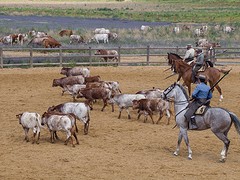 e067 A Campo Abierto