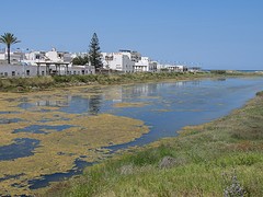 e114 Zahara de los Atunes