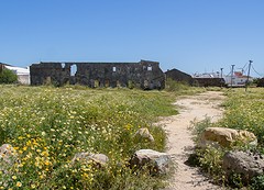 e132 Castillo de las Almadrabas, Zahara de los Atunes