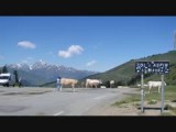 Col d'Aspin