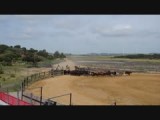 A Campo Abierto koeien en kalveren