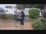 Het is hondenweer