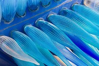 b073 Murano
