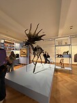 IMG_5773
