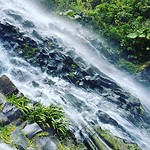 IMG_20180822_070555_986