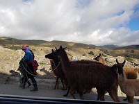 IMG-20180903-WA0015