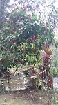 20180928_133547