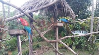 20180928_154021