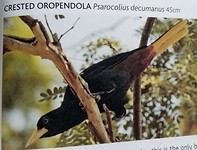 IMG_20180930_151006