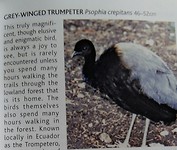 IMG_20180930_150858