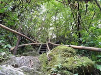 20181005_142905