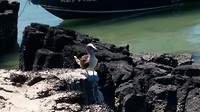20181029_141851
