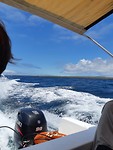 IMG-20181031-WA0009