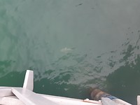 20181102_183131