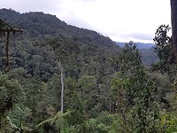 20181106_124637