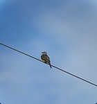 20181107_082923