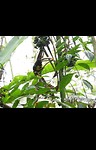 20181107_082837