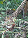 20181106_073535