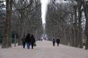 jardin du luxembourg