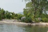 DSC06494