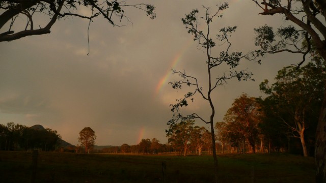 Regenbogen!