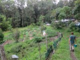 Der Garten