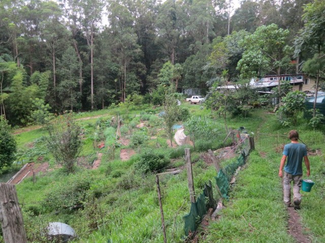 Der Garten