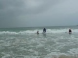 Bodyboarden in Byron Bay