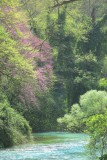 Blue Eye Spring in Albanien