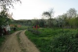 De weg naar de boerderij (gelukkig was de camper na albanie heel wat gewend)
