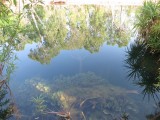 Unterwasserwelt