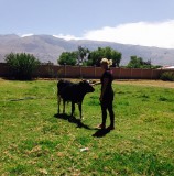 Bezoek aan het seminarium, Cochabamba