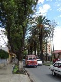 Cochabamba