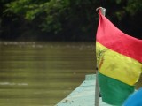 Bootje over de jungle