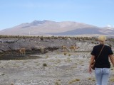 Colca