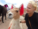 Met mijn vriend de lama
