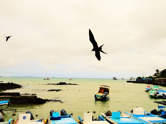 View