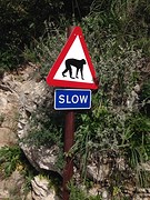 Dagtrip naar Gibraltar