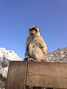 Dagtrip naar Gibraltar